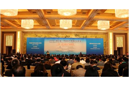 Vice President Mr. Hu Jiaming Attended “Annual Meeting for Chinese Outbound Investment Companies2016